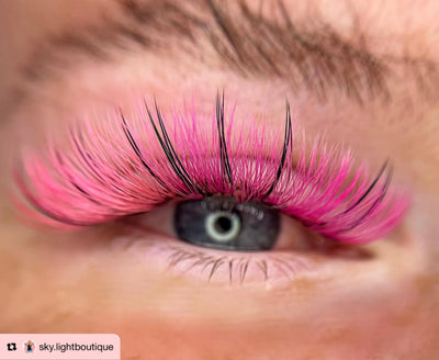 Purple Pro-made coloured fans 6D