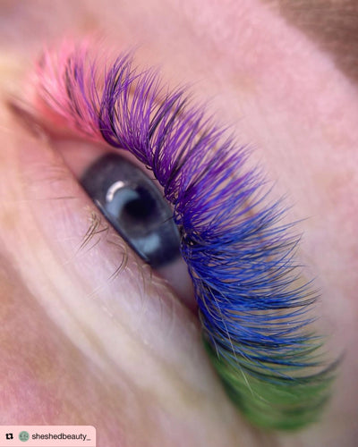 Purple Pro-made coloured fans 6D