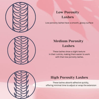 #30 Mastering Lash Porosity: Essential Insights for Lash Artists