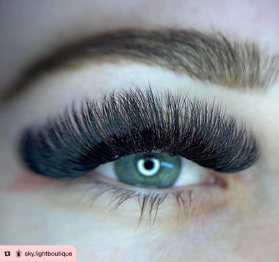 10D | Promade XL Lash Book