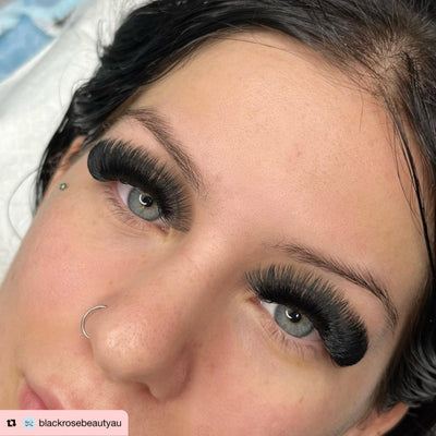 12D | Promade XL Lash Book