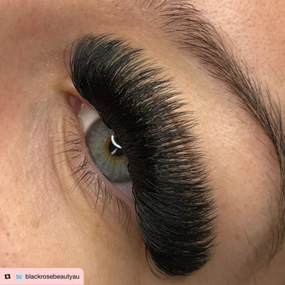 12D | Promade XL Lash Book