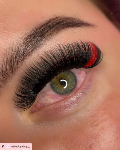 14D | Promade XL Lash Book