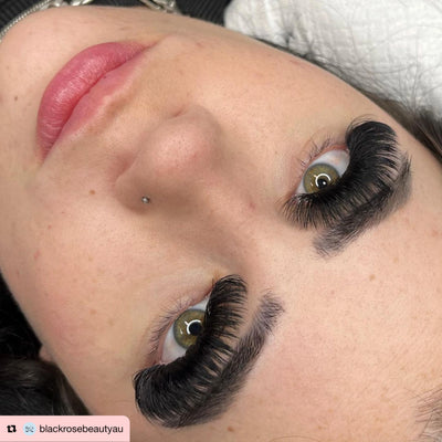 16D | 0.03 Pro-Made Loose Fans | 500 Fans Per Tray