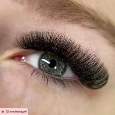 6D | 0.07 | Promade XL Lash Book