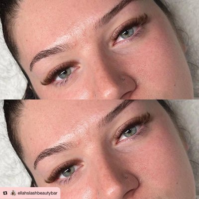 6D | 0.07 | Promade XL Lash Book