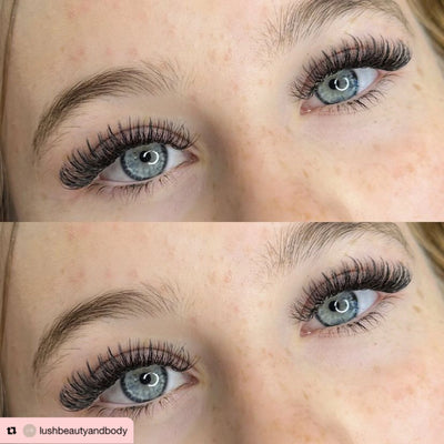 6D | 0.07 | Promade XL Lash Book