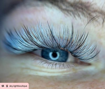 Pro-made coloured fans 6D | 0.07 | 1000 fans/tray