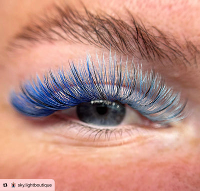 Pro-made coloured fans 6D | 0.07 | 1000 fans/tray