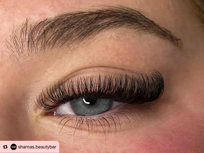 4D | 0.07 | Promade XL Lash Book