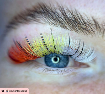 Purple Pro-made coloured fans 6D