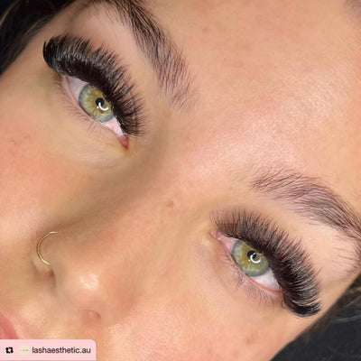 5D Promade Loose Fans - 1000 Fans per Tray