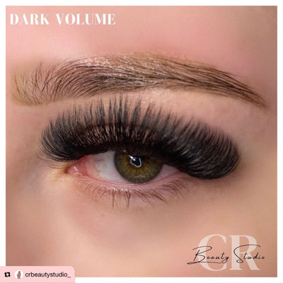 10D | Promade XL Lash Book