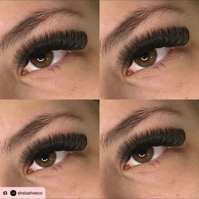 14D | Promade XL Lash Book