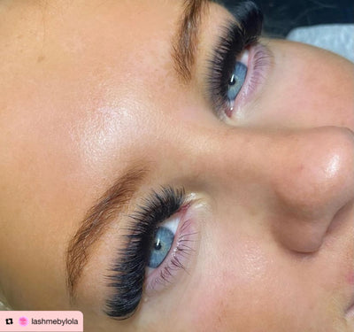 12D | Promade XL Lash Book