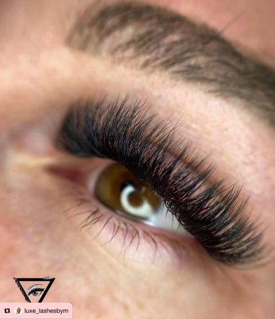 8D | 0.07 | Promade XL Lash Book