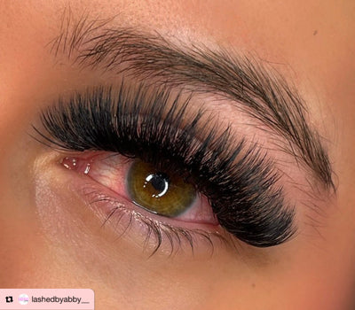 10D | Promade XL Lash Book