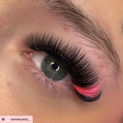 Purple Pro-made coloured fans 6D