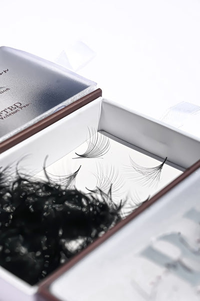 6D | Handmade Russian Volume 500 Fans/Tray