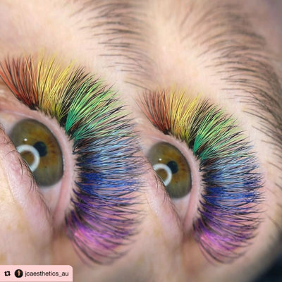 Pro-made coloured fans 6D | 0.07 | 1000 fans/tray