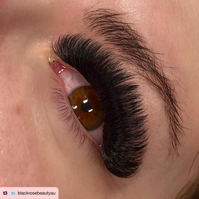 16D | 0.03 Pro-Made Loose Fans | 500 Fans Per Tray