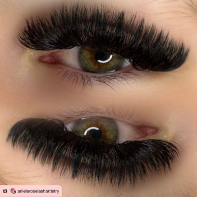 16D | 0.03 Pro-Made Loose Fans | 500 Fans Per Tray