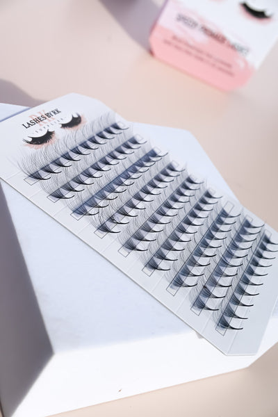 Speedy/Rapid Promade Mega Box | 1000 fans