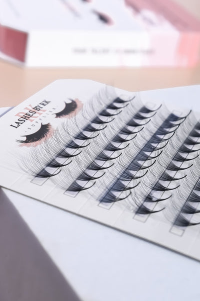 Speedy/Rapid Promade Mega Box | 1000 fans