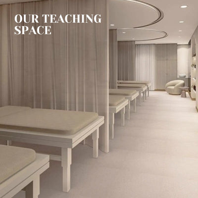 Classic Lash Course - Beginner (1 day)