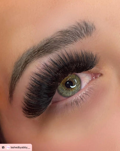 10D | Promade XL Lash Book