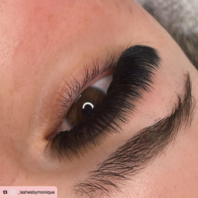 12D | Promade XL Lash Book